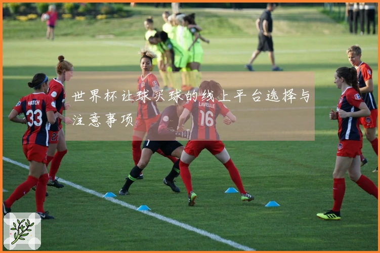 世界杯让球买球的线上平台选择与注意事项