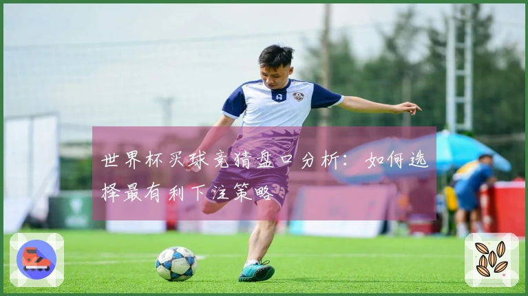 世界杯买球竞猜盘口分析：如何选择最有利下注策略