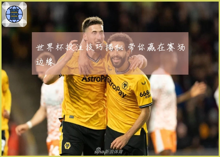 世界杯投注技巧揭秘 带你赢在赛场边缘