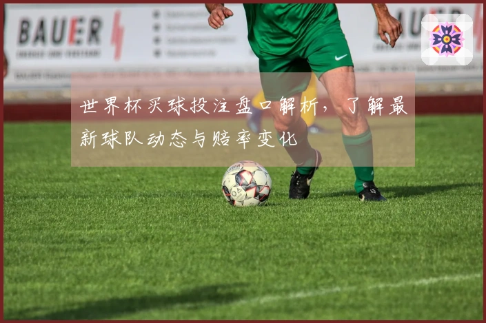 世界杯买球投注盘口解析，了解最新球队动态与赔率变化