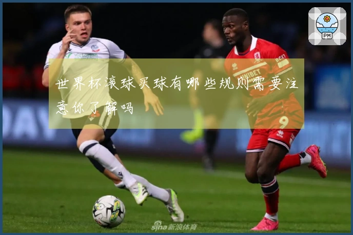 世界杯滚球买球有哪些规则需要注意你了解吗