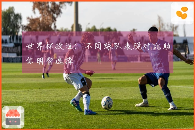 世界杯投注：不同球队表现对比助你明智选择