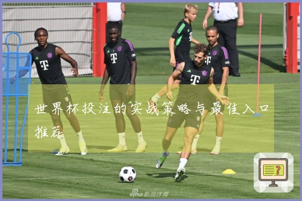 世界杯投注的实战策略与最佳入口推荐