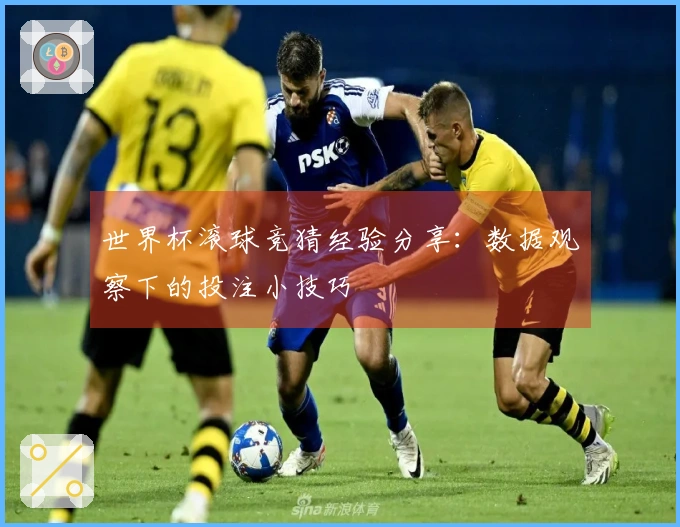 世界杯滚球竞猜经验分享：数据观察下的投注小技巧