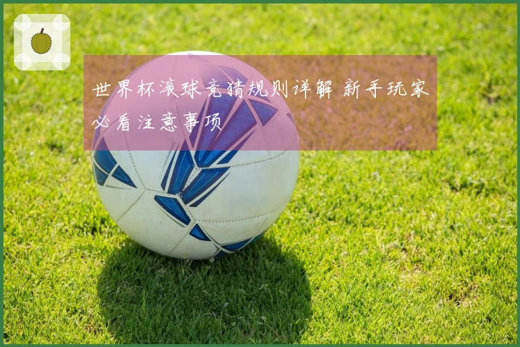 世界杯滚球竞猜规则详解 新手玩家必看注意事项