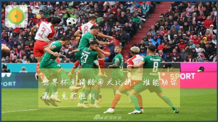 世界杯竞猜赔率大比拼，谁能助你赢得竞彩胜利