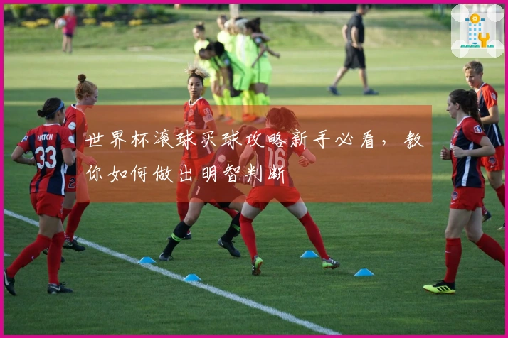 世界杯滚球买球攻略新手必看，教你如何做出明智判断