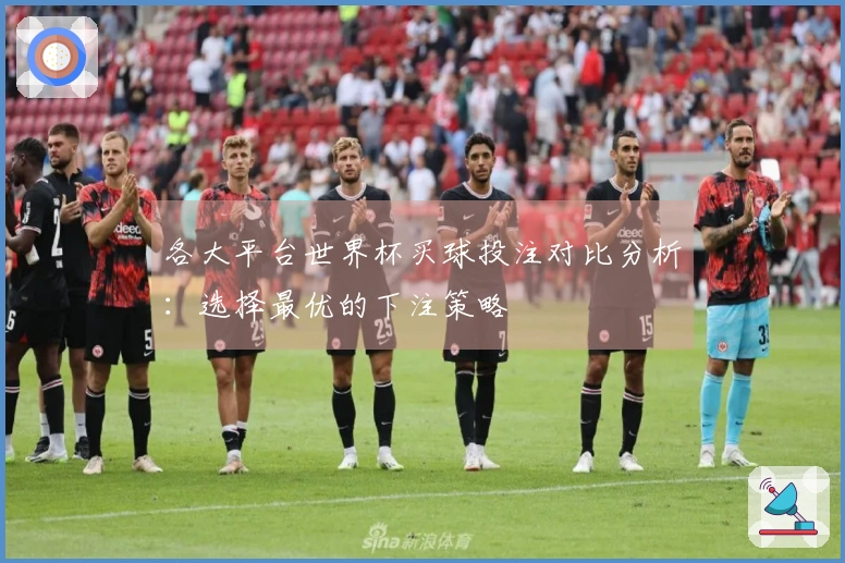 各大平台世界杯买球投注对比分析：选择最优的下注策略