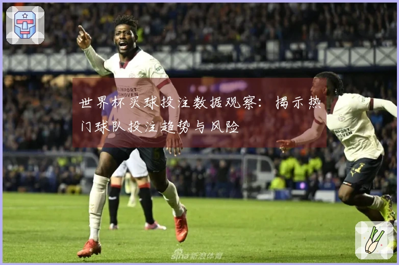 世界杯买球投注数据观察：揭示热门球队投注趋势与风险