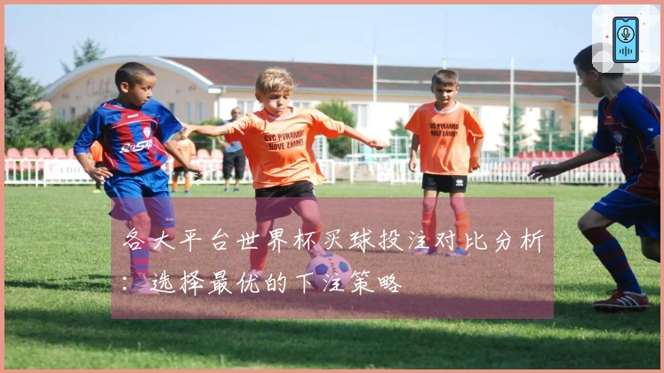 各大平台世界杯买球投注对比分析：选择最优的下注策略