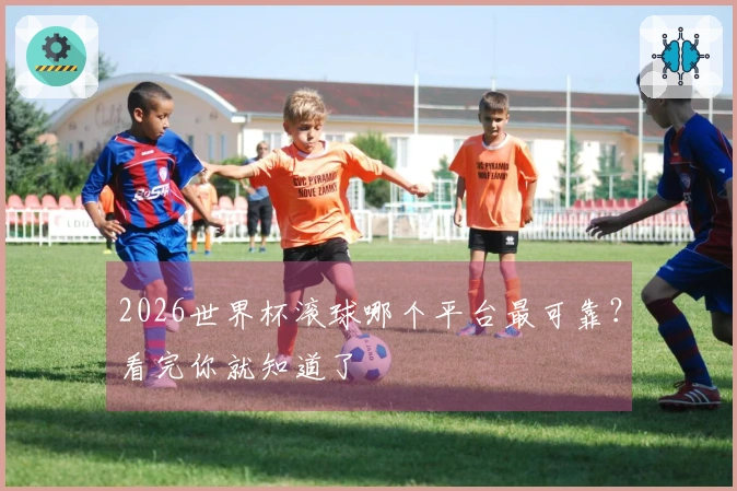 2026世界杯滚球哪个平台最可靠？看完你就知道了
