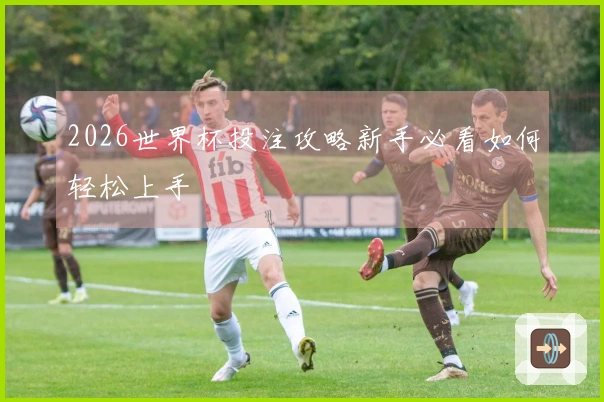 2026世界杯投注攻略新手必看如何轻松上手
