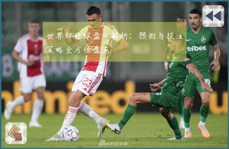 世界杯让球盘口解析：预测与投注策略全方位盘点