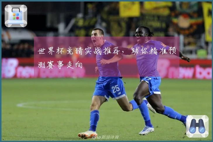 世界杯竞猜实战推荐，助你精准预测赛事走向