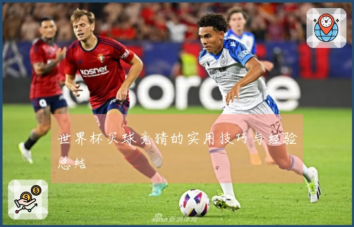 世界杯买球竞猜的实用技巧与经验总结