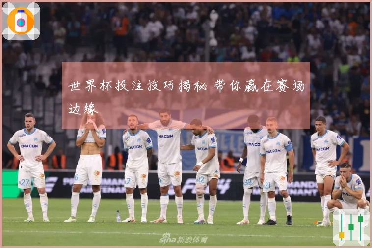 世界杯投注技巧揭秘 带你赢在赛场边缘